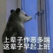 ͷ��