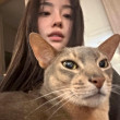 ͷ