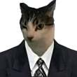 ͷ