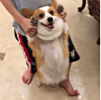ͷ