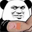 ͷ��