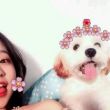 ͷ��