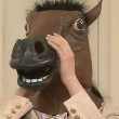 ͷ��