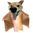 ͷ