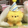 ͷ��