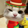 ͷ��
