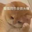 ͷ