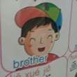 ͷ