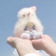 ͷ��