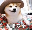 ͷ��