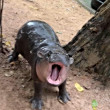 ͷ
