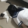 ͷ��