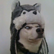 ͷ