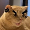ͷ