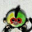 ͷ