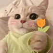 ͷ