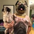 ͷ��