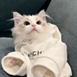 ͷ