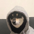 ͷ