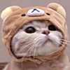ͷ
