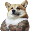 ͷ��