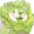 ͷ��