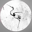 ͷ