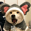 ͷ