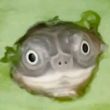 ͷ��