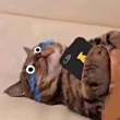 ͷ