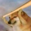 ͷ��