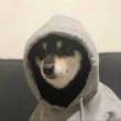 ͷ��
