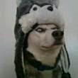 ͷ