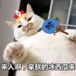 ͷ��