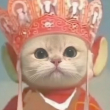 ͷ��
