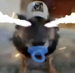 ͷ��