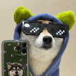 ͷ��