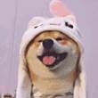 ͷ