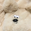 ͷ