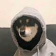 ͷ