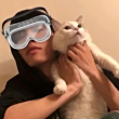 ͷ