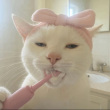 ͷ��
