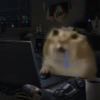 ͷ��