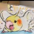 ͷ��