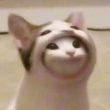 ͷ��
