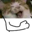 ͷ��
