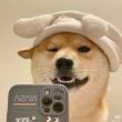 ͷ��