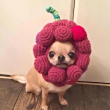 ͷ