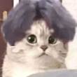 ͷ
