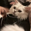 ͷ��